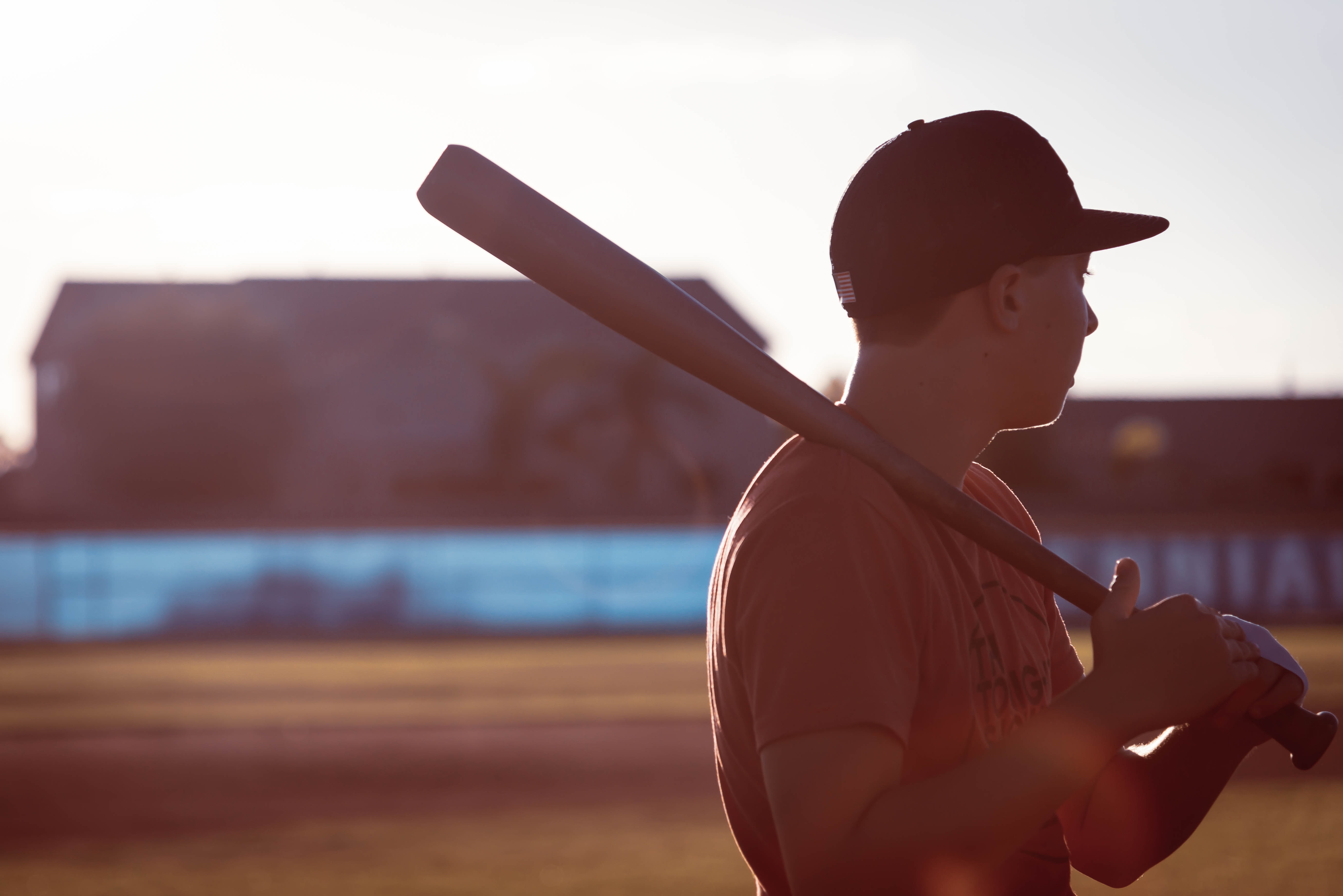 buying guide for wood baseball bats